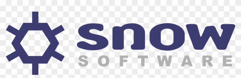 Snow Software logo